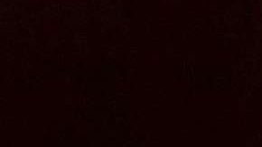 El programa que brinda empleos de verano está dirigido a estudiantes en edad universitaria en el área de Chicago y suburbios.