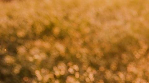 Conoce qué signo sería tu media naranja.