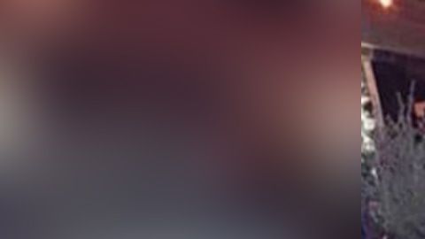 Soraja Vucelic, modelo Playboy y exnovia de Neymar, estrelló su lujoso Lamborghini