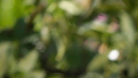 Hay que tomar en cuenta algunos factores para determinar o no su uso necesario.