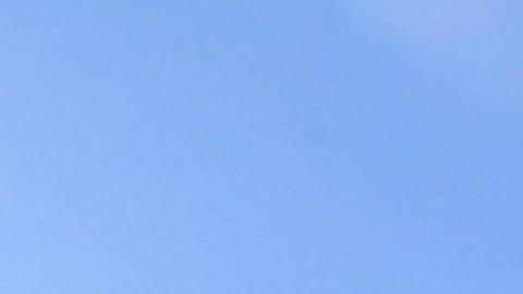 Bomberos y policias investigan el  incendio de Avenida Prospect en el Bronx.