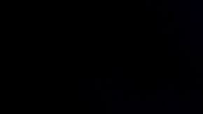 Christiani Pitts encabeza el elenco