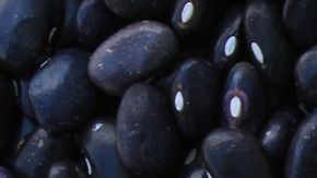 Los frijoles son de las principales fuentes vegetales de hierro.