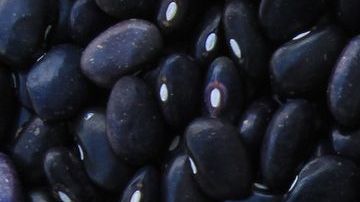 Los frijoles son de las principales fuentes vegetales de hierro.