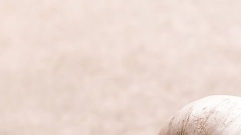 El ajo es muy usado como amuleto de protección.