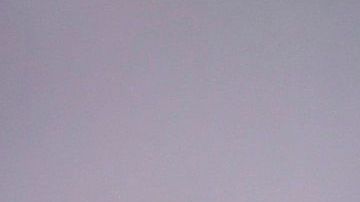 El técnico del Atalanta, Gian Piero Gasperini.