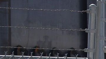 Trump dijo que el muro se está levantando "rápido".