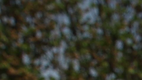 Los resultados del Censo, ayudan a saber el número de legisladores que cada estado tendrá en el Congreso. / foto: getty.