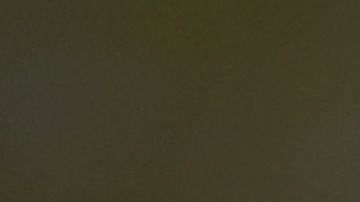 Las autoridades aseguraron que las mordidas de caimán suelen ser habituales en Florida.