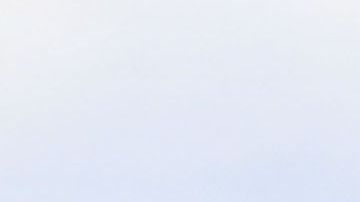 donald melania barron