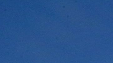 Tyrann Mathieu ama su playera del tricolor.