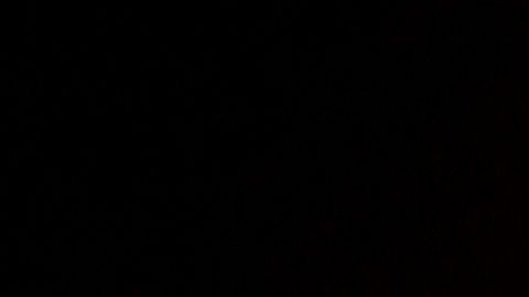 TikTok Coronavirus Organización Mundial de la Salud