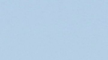 Grupo antimotines de la Patrulla Fronteriza.