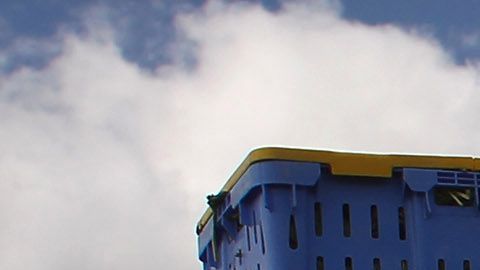 La agricultura es uno de los sectores más afectados por deportaciones de indocumentados.