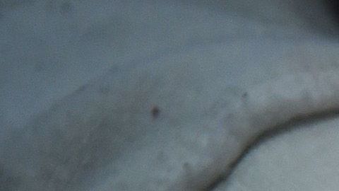 US-LOTTERY-POWERBALL-LIFESTYLE