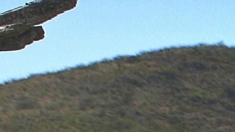 migrante desierto