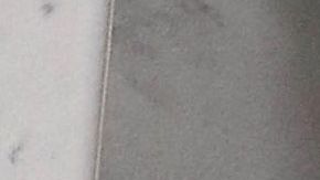 Activistas impulsan la protección de "dreamers" y beneficiarios de TPS.