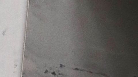 Activistas impulsan la protección de "dreamers" y beneficiarios de TPS.