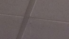 USCIS reporta que han aumentado las solicitudes de naturalización.