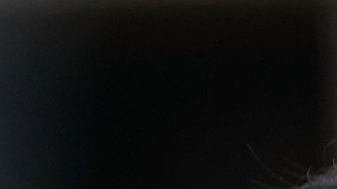 Paul Manafort ya tenía una sentencia de cuatro años.