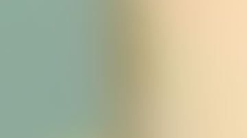 Gregory Hassze, de 34 años, enfrentaba 26 cargos por posesión de bombas caseras.