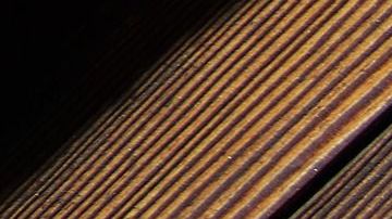 La herradura es uno de los amuletos más comunes.