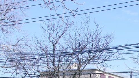 Bajo las nuevas recomendaciones, las escuelas deben asegurarse de que todo el personal esté capacitado para proceder en un salón de clases.