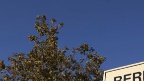 Una de las entradas de la base militar texana de Fort Hood.