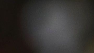 El 'Pocho' se haría acreedor a una dura sanción.