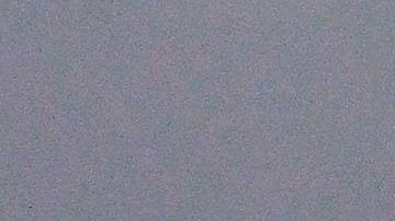 Palafox tiene un gran número de seguidores.