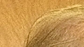 Sochil Martín presentó la primera demanda en contra de la iglesia la Luz del Mundo y sus líderes. (Jacqueline García)