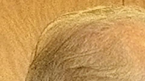 Sochil Martín presentó la primera demanda en contra de la iglesia la Luz del Mundo y sus líderes. (Jacqueline García)