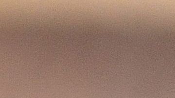 papaya slice on wood