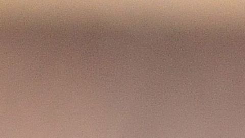 papaya slice on wood