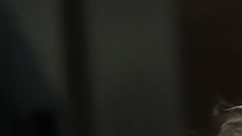 El sospechoso en un tribunal de Sacramento en 2018. /Getty Images