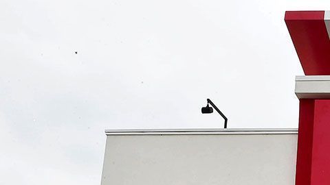 Una de las tantas versiones era que querían eliminar la palabra "frito".