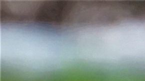 El perro, de nombre Eros, hace entregas a domicilio en una canasta.