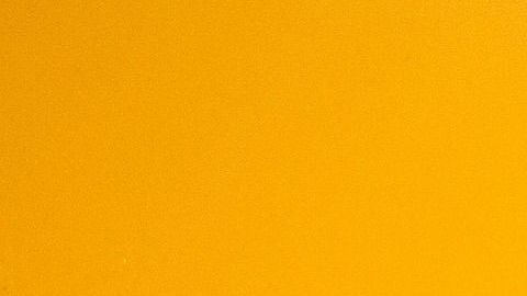 El Go Kart cuenta con el logotipo de la marca y el carcaterísitco color amarillo que lo jace lucir auténtico.