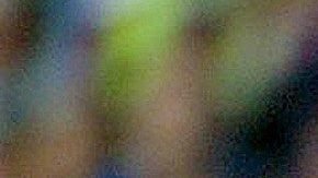 Henrik Larsson tuvo un paso breve pero sustancial en el Barcelona.