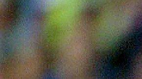 Henrik Larsson tuvo un paso breve pero sustancial en el Barcelona.