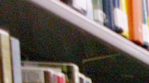 La amnistía de la biblioteca de Los Ángeles durará entre el 1 y 14 de febrero. /ARCHIVO