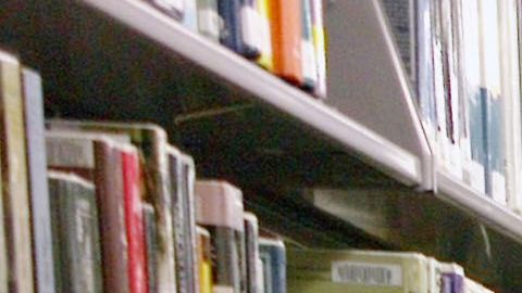 La amnistía de la biblioteca de Los Ángeles durará entre el 1 y 14 de febrero. /ARCHIVO