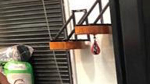 loyd-Mayweather-Jean-Lobo-Torres