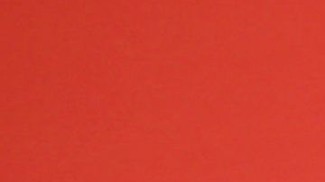 María Celeste Arrarás