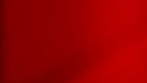 María Celeste Arrarás