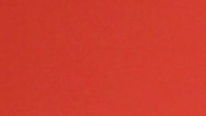 María Celeste Arrarás