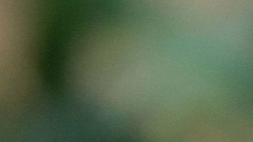 Meghan Markle y el príncipe Harry