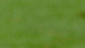 Lionel Messi ha vivido una temporada complicada.