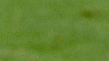 Lionel Messi ha vivido una temporada complicada.