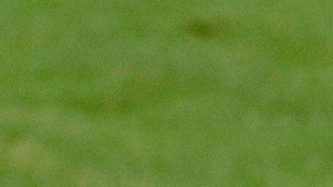 Lionel Messi ha vivido una temporada complicada.